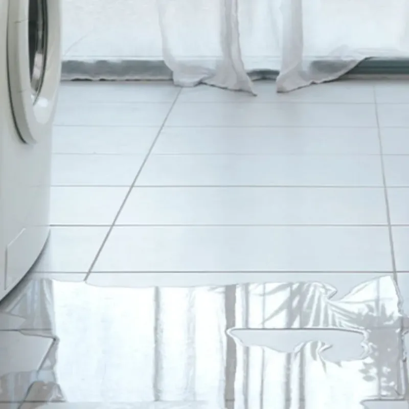 Appliance Leak Cleanup in Hickman County, TN