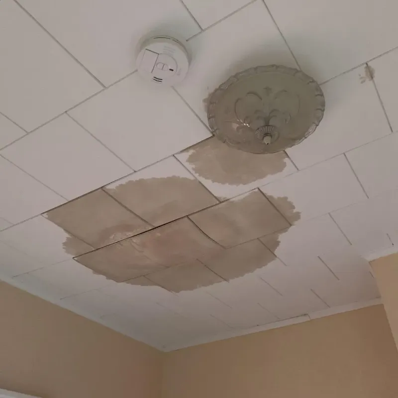 Ceiling Water Damage Repair in Hickman County, TN