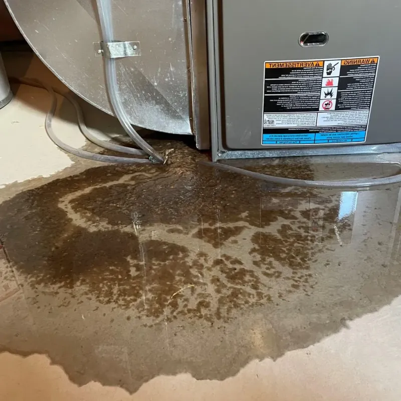 Pipe Burst and Leak Restoration in Hickman County, TN