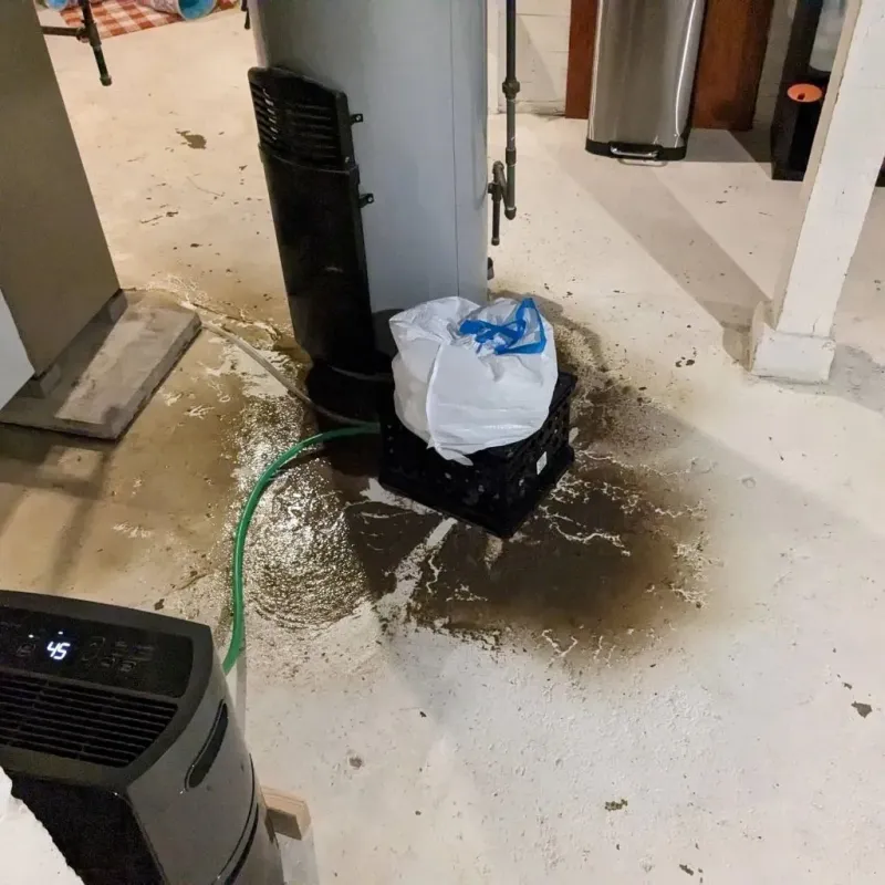 Sewage Backup Cleanup Service in Hickman County, TN